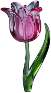 TulipanCristal