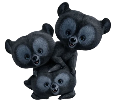 ositos