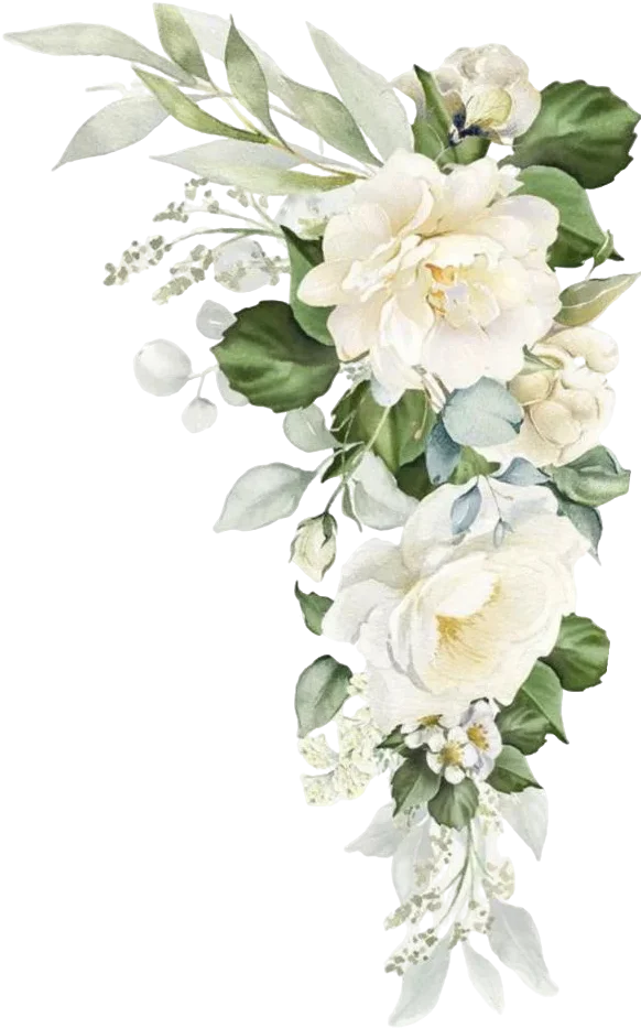 Flores Blancas y Olivo