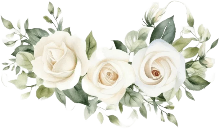estrellas
