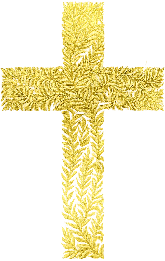 cruz