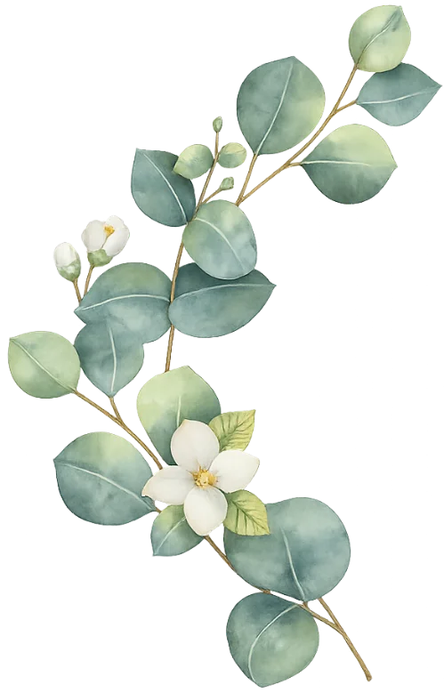Flores Blancas y Olivo